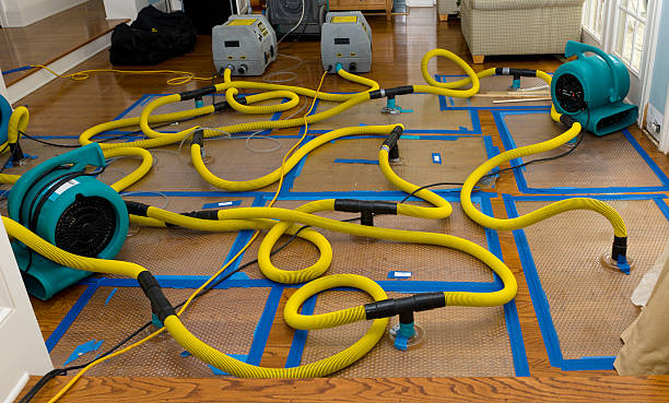 Professional Flood Damage Restoration technician working in Leonia, NJ